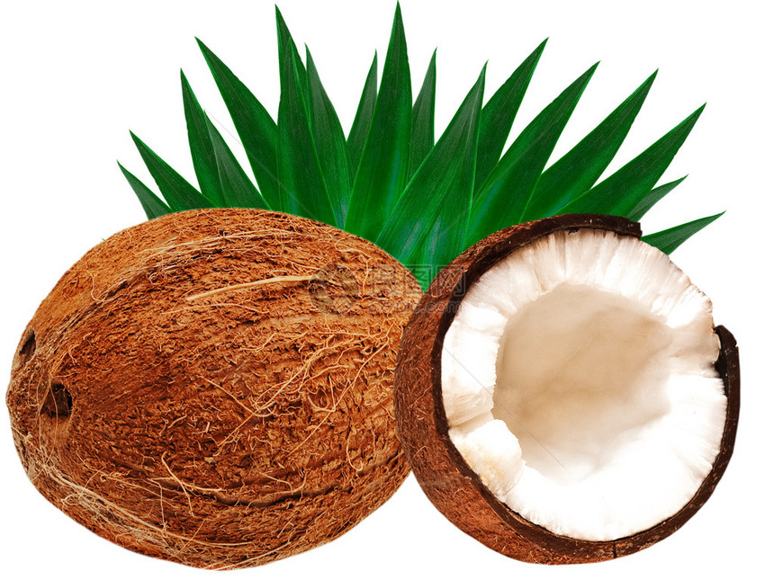 孤立在白色背景上的椰子图片