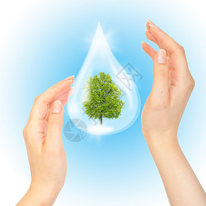 拯救绿色星球的象征绿树和手图片