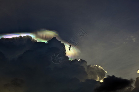 苍蝇在美丽的天空中飞翔云彩图片