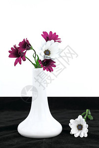 有雏菊花的白色花瓶图片