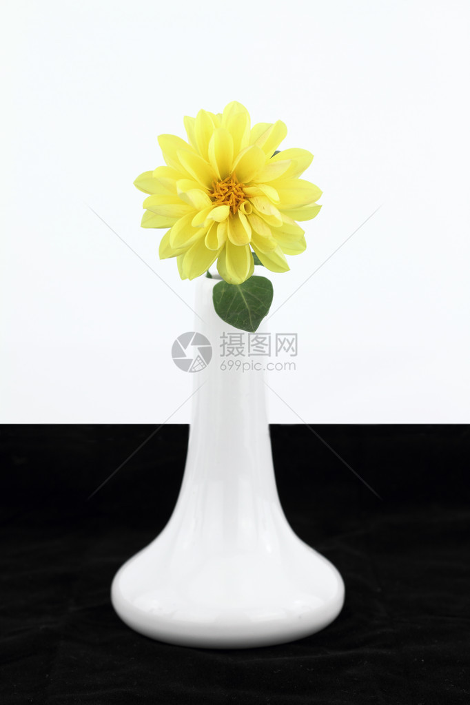 有黄色大丽花的白色花瓶图片