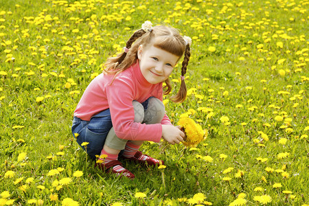 草地上可爱的小女孩图片
