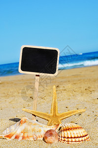海滩沙上的海星和贝壳以及一个图片