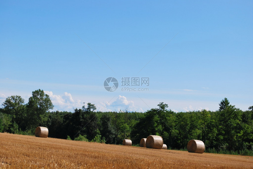 刚在夏季声称的田间稻草捆图片