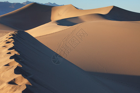 加州梅斯奎特平原的沙丘背景图片