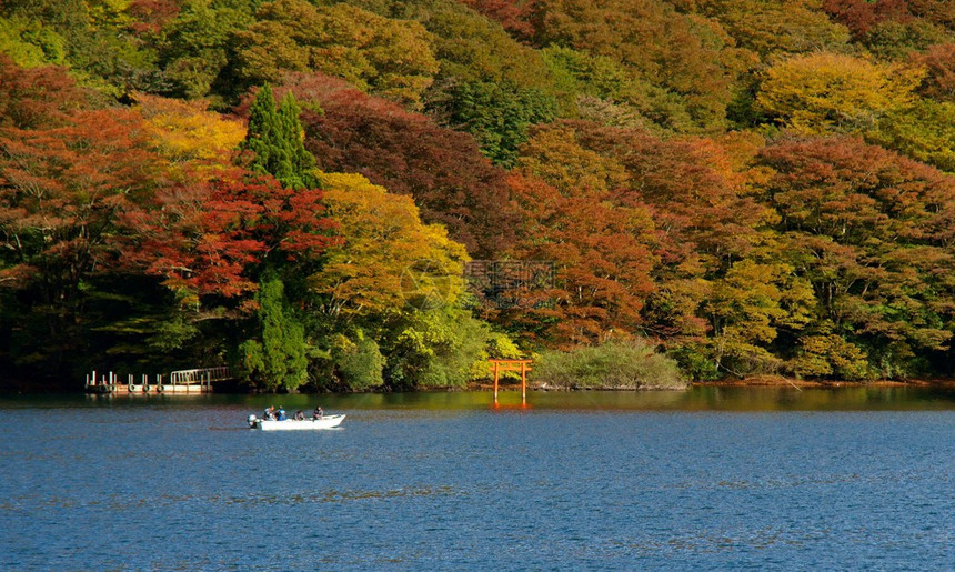 秋季旅游季节在日本黑角图片