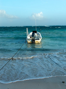 加勒比海的摩托艇图片