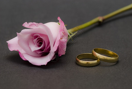 结婚戒指和黑色背景上的玫瑰图片