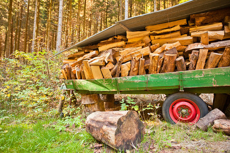 旧的破碎拖车满载着森林图片