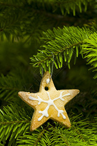圣诞树上的星形短面包饼干图片