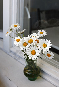 窗台上的甘菊花束图片