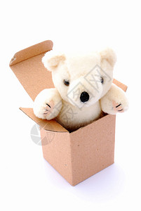 一个可爱的小泰迪熊给从平板纸箱里出来的孩子看图像孤立在白色图片