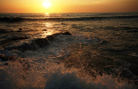 在日落的海岸线印度洋图片