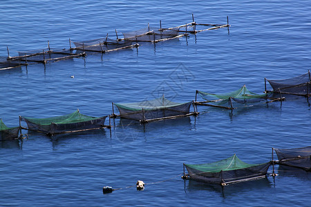 秘鲁蒂卡湖的渔网图片