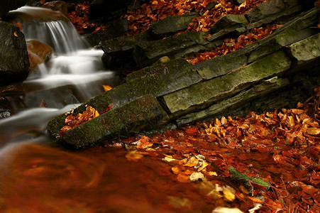 秋天的溪流与树叶和岩石图片