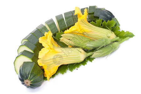 蔬菜骨髓是用鲜花叶子和一个图片