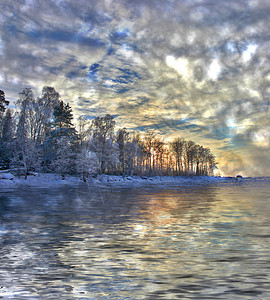 白桦林中的冬日夕阳图片