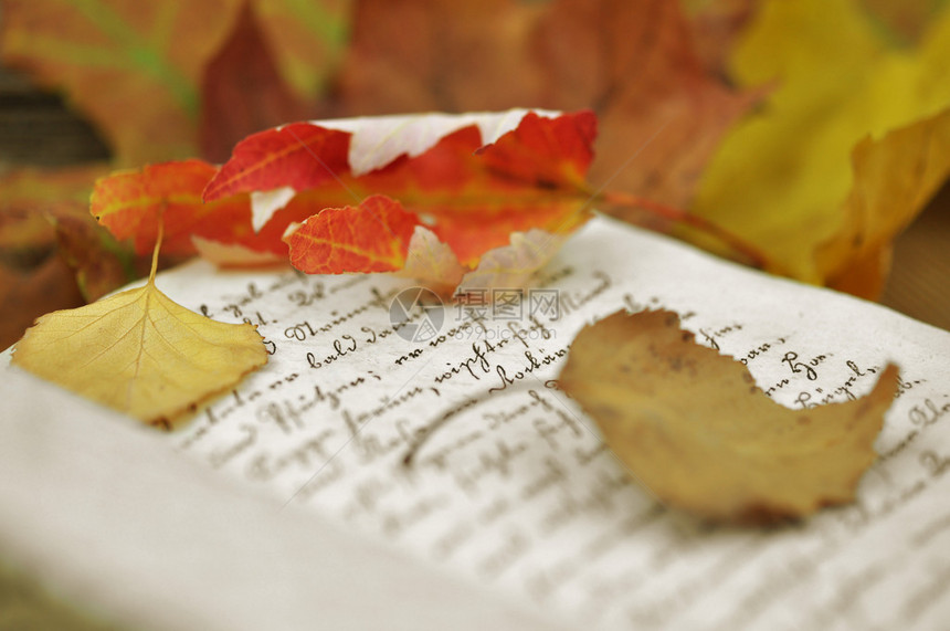 秋叶散落在一本旧日记上图片