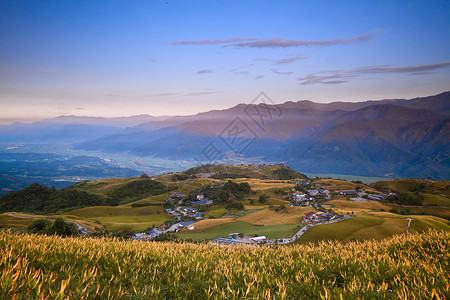 花莲节六十石山的黄花菜背景图片