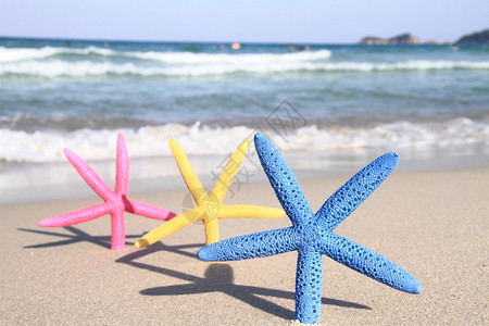 夏天海滩上五颜六色的海星图片
