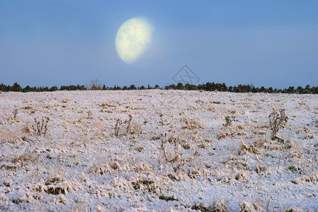 冬季的月亮图片