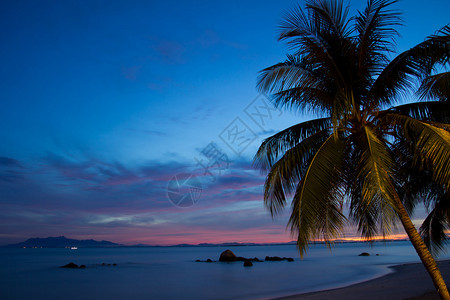 日出时对蓝天的椰子棕榈树照片是用长图片