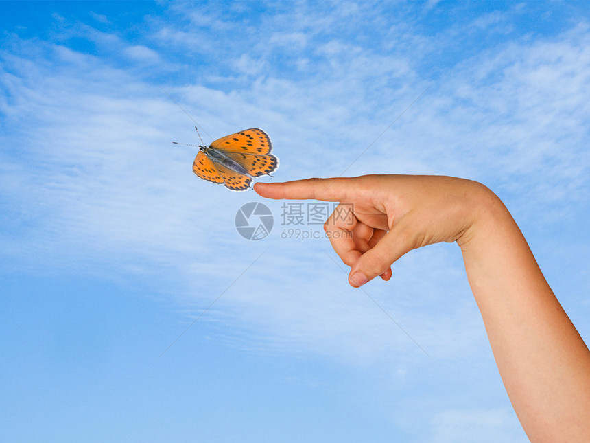 蝴蝶和手图片