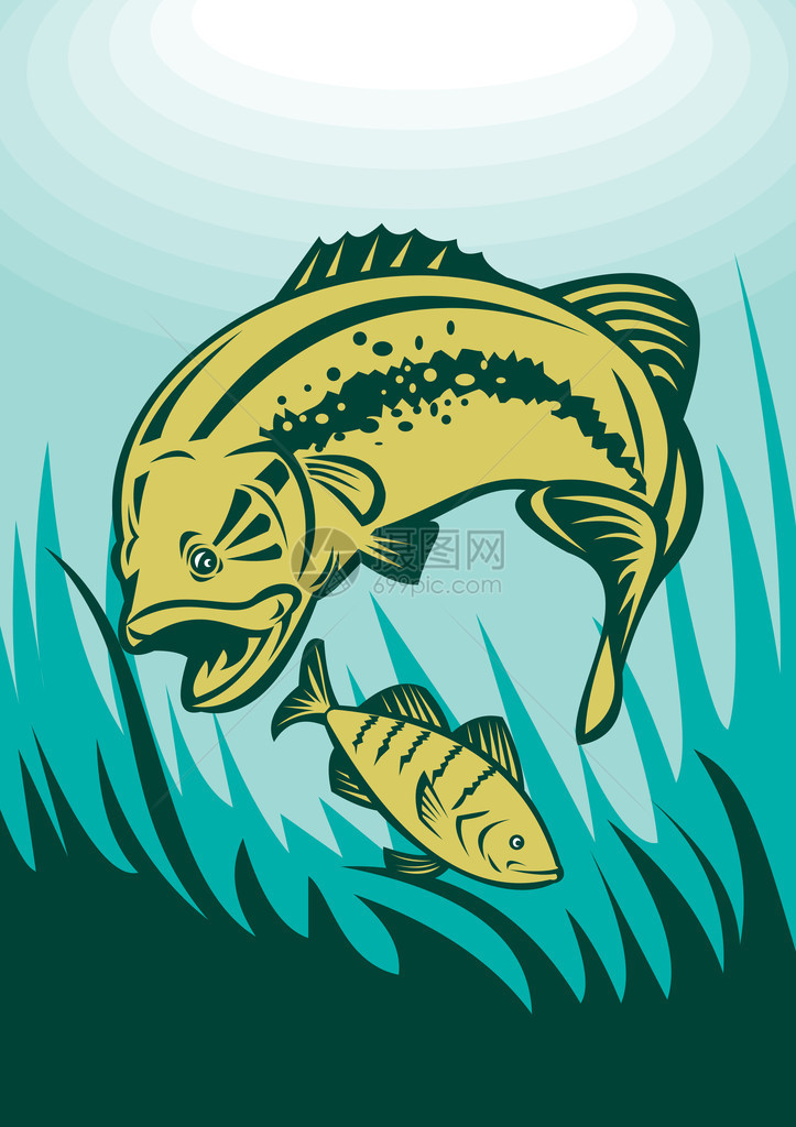 在水下观看的大嘴鲈鱼捕食鲈鱼的插图图片