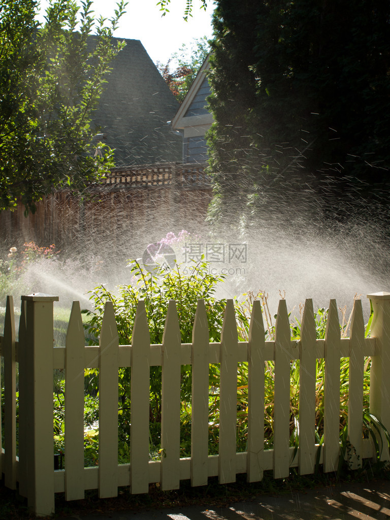 花园里草坪洒水器喷出的水花图片