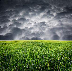 绿草和乌云密布的风暴天空图片