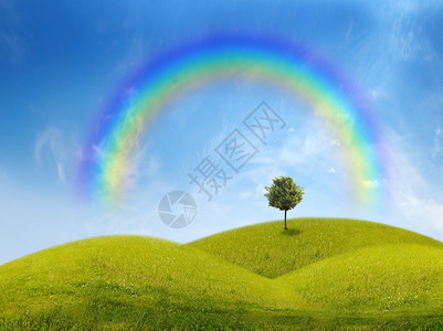 绿色田野全景蓝天上有一棵树彩虹背景图片