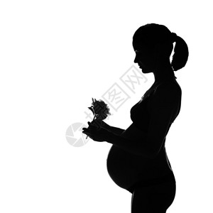 33周孕妇玫瑰花剪影图片