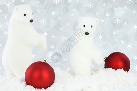 圣诞节雪地上的白熊图片