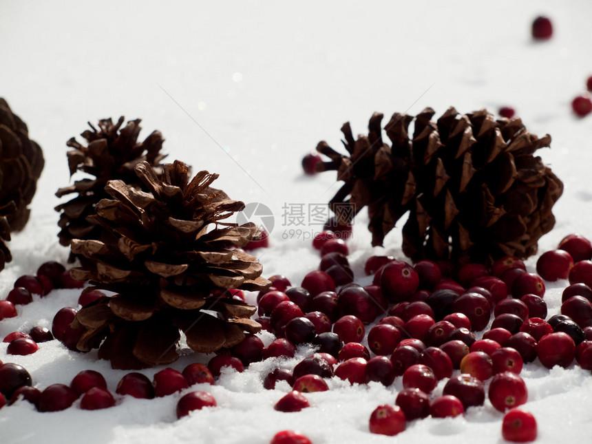 在雪地里的圣诞装饰品与小红莓图片