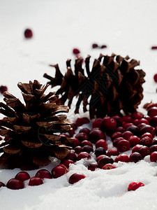 在雪地里的圣诞装饰品与小红莓背景图片