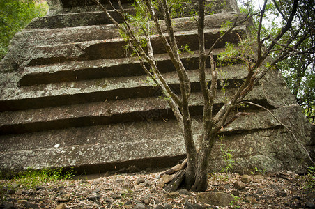 根齐亚纳澳大利亚纳拉布里岛SawnRocks惊背景