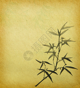 新鲜的兰花有竹背景图片