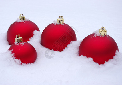 圣诞球与雪隔离在白色背景图片