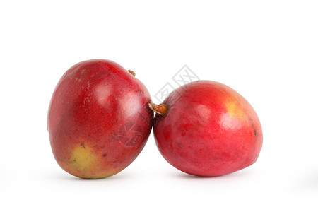 白色背景上两个成熟的红芒果与图片