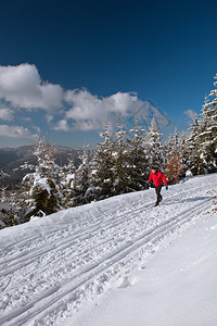 跨国滑雪青年男子在阳光明媚的冬季日图片