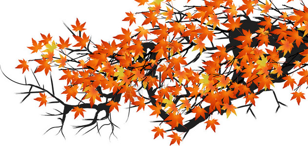 带秋叶插图的抽象树背景图片