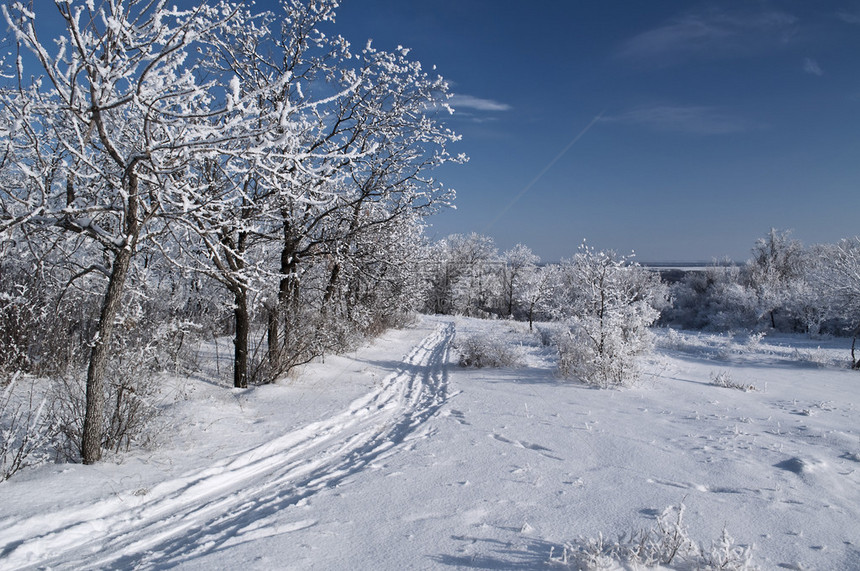 雪中的冬季公园图片
