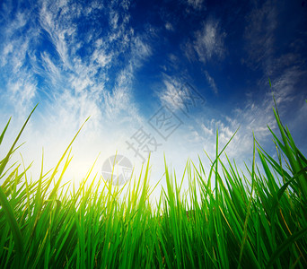 绿草如茵蓝天白云图片