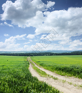 蓝天白云下绿色草地上的道路图片