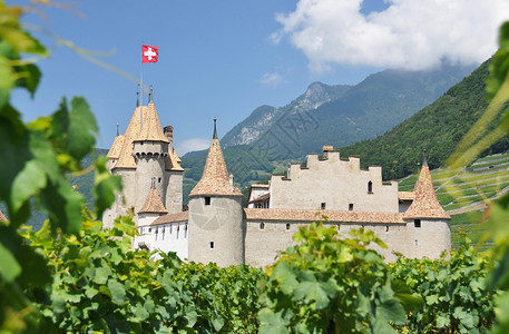 城堡daigle之间的葡萄园瑞士图片