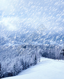 美丽的冬季景观图片