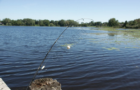 在美国度假的夏天在湖边钓鱼图片