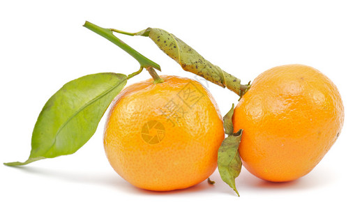 普通日语橙图片