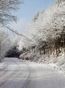 冬季通往木材的冬季道路树上布满雪和滑图片