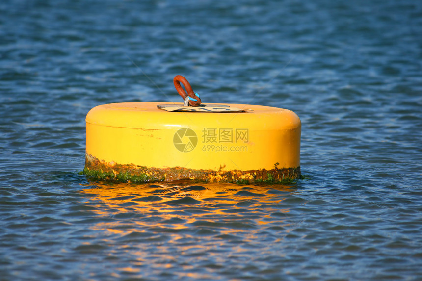 海中的黄色浮标图片